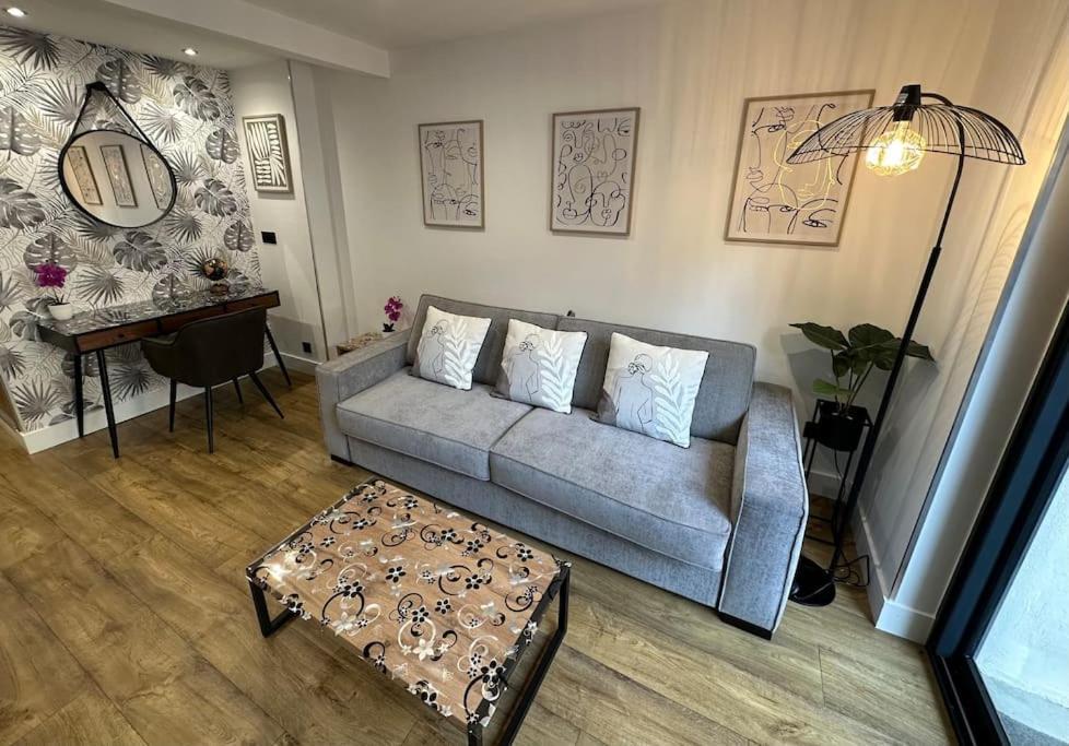 Le Briand Appartement 4Etoiles Nancy Thermal Cosy Avec Terrasse Wifi Экстерьер фото