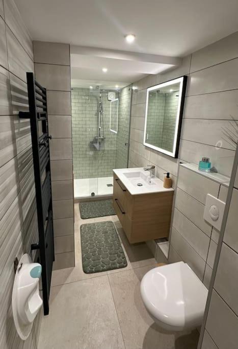 Le Briand Appartement 4Etoiles Nancy Thermal Cosy Avec Terrasse Wifi Экстерьер фото